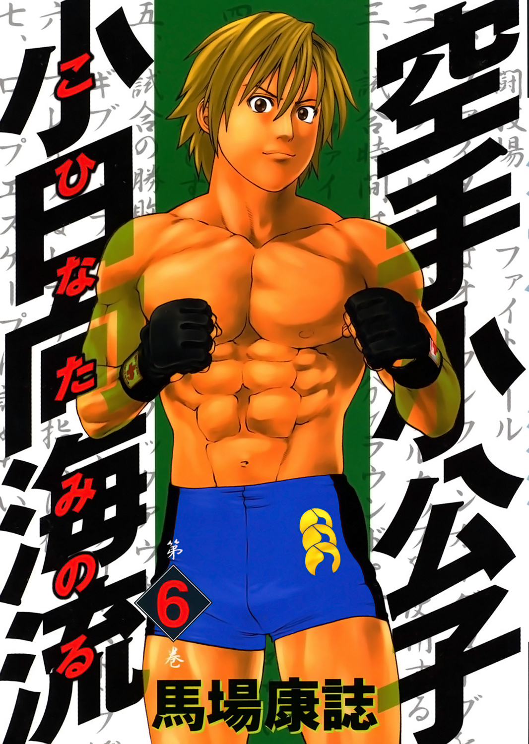 img Karate Shoukoushi Kohinata Minoru 2